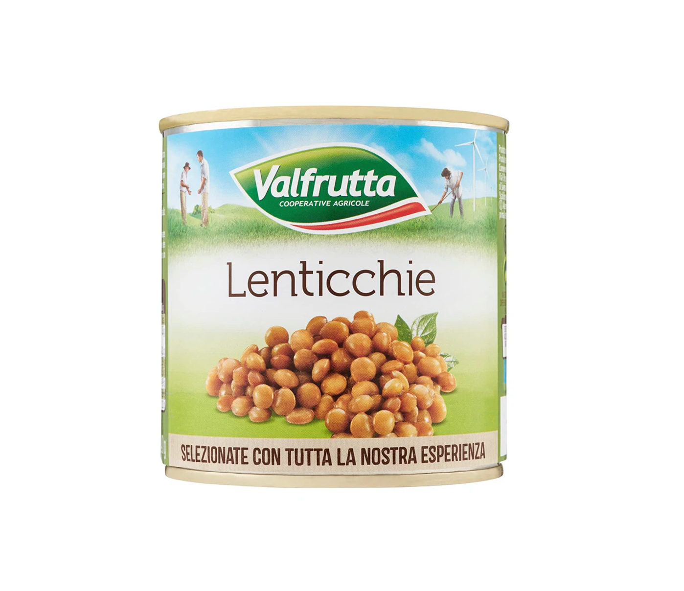 Valfrutta Lenticchie Lentils in Brine 400g Can